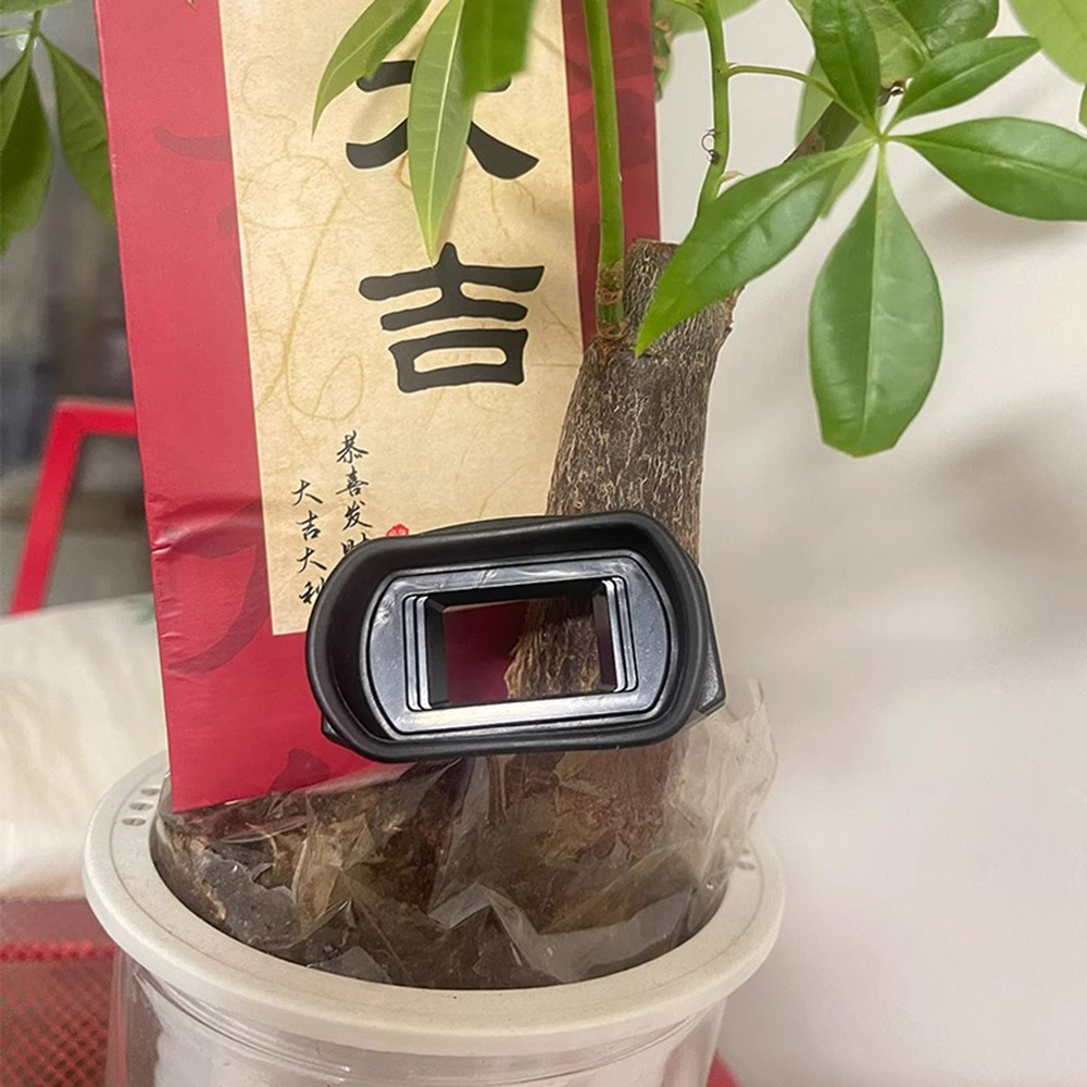 Nuovo EG Gomma Occhio Cup Miri - Nikon Camera D3500 recensione e prezzo